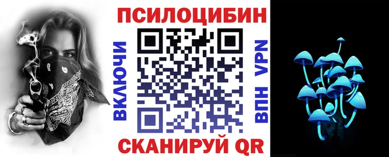 Купить  Кодинск  Псилоцибиновые грибы GOLDEN TEACHER 